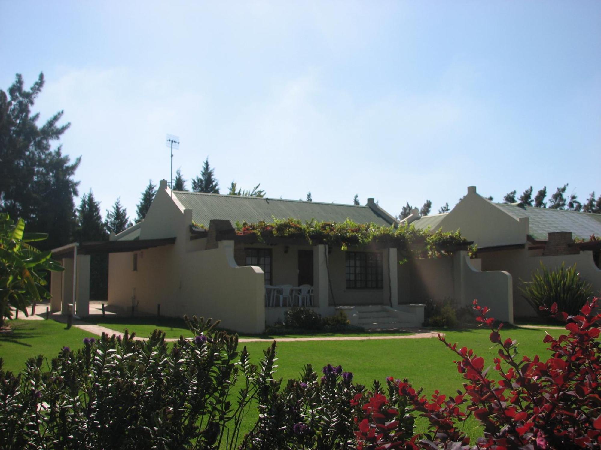 Skilpadvlei Wine Farm Stellenbosch Værelse billede
