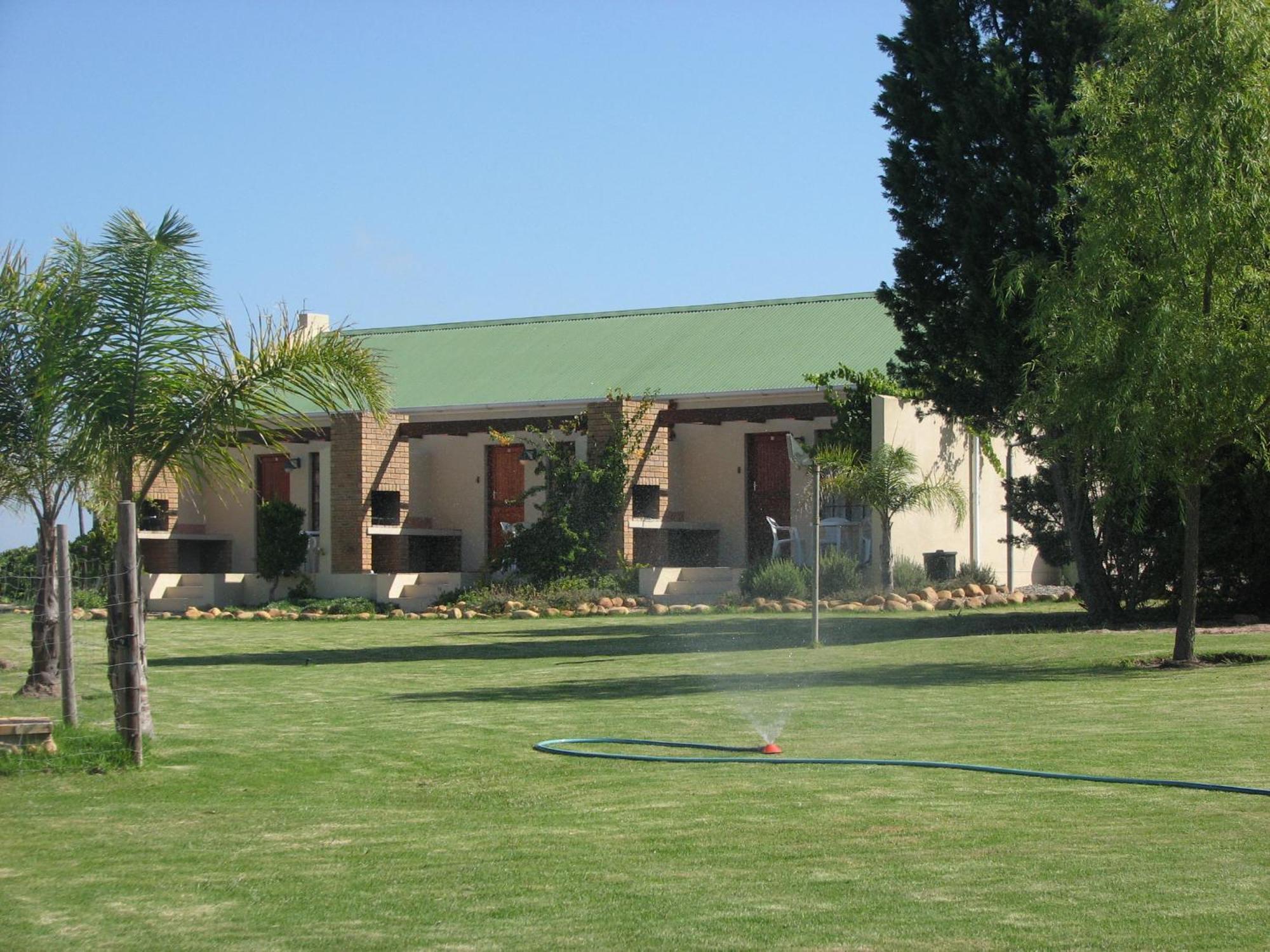 Skilpadvlei Wine Farm Stellenbosch Værelse billede
