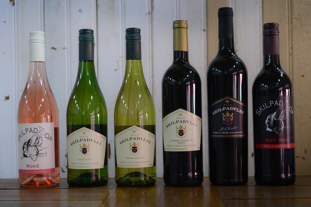 Skilpadvlei Wine Farm Stellenbosch Eksteriør billede