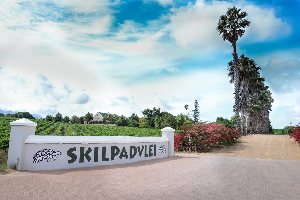 Skilpadvlei Wine Farm Stellenbosch Eksteriør billede